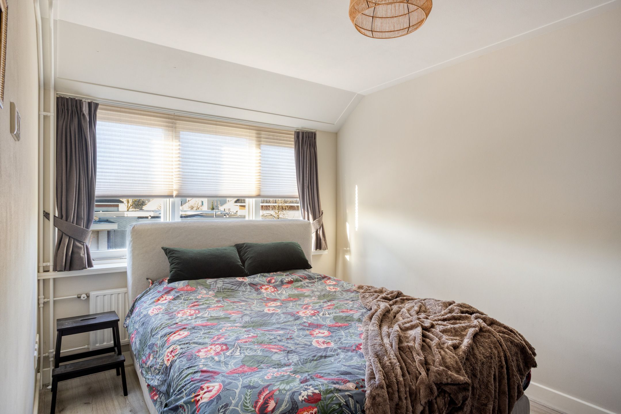 Foto 18 van Havik 20