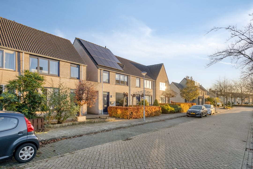 Foto 26 van Havik 20