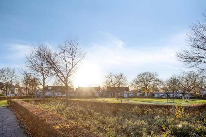 Photo 27 of Havik 20