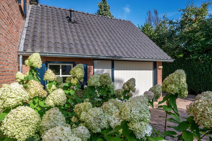 Foto 71 van Traianuslaan 4