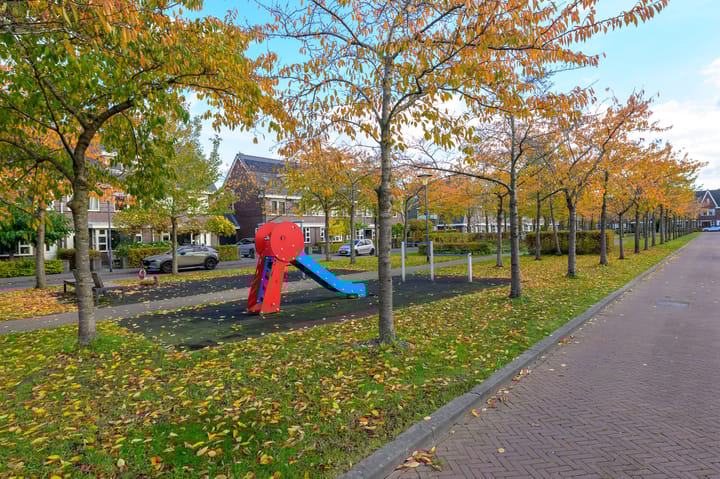 Photo 48 of Ruisvoornlaan 16