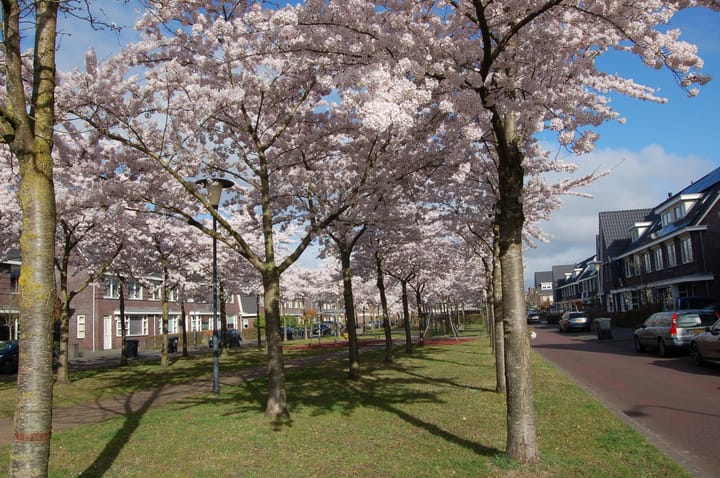 Photo 51 of Ruisvoornlaan 16