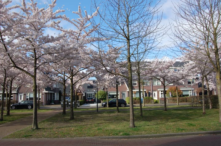 Photo 52 of Ruisvoornlaan 16