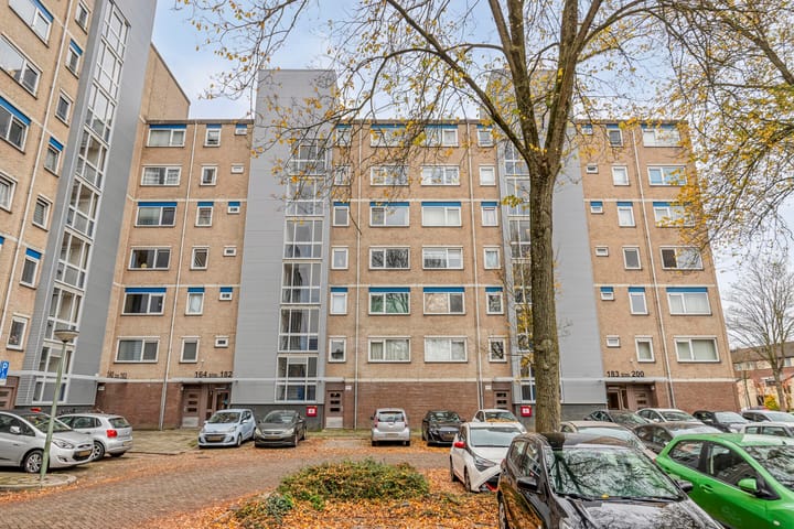 Foto 5 van Tomatenplein 173