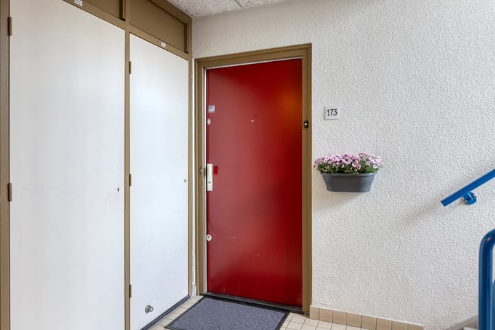 Foto 10 van Tomatenplein 173