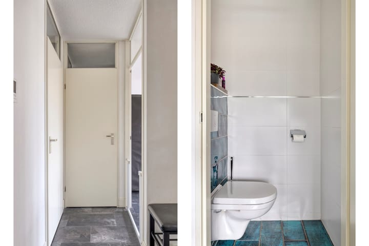 Foto 11 van Tomatenplein 173