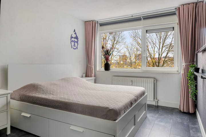 Foto 24 van Tomatenplein 173