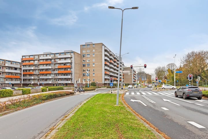 Foto 29 van Tomatenplein 173