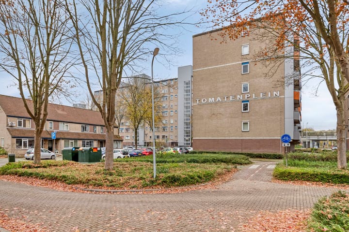 Foto 30 van Tomatenplein 173