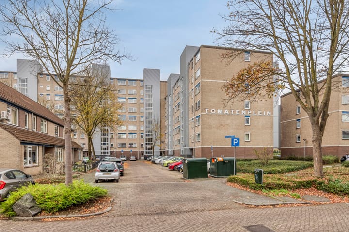 Foto 31 van Tomatenplein 173