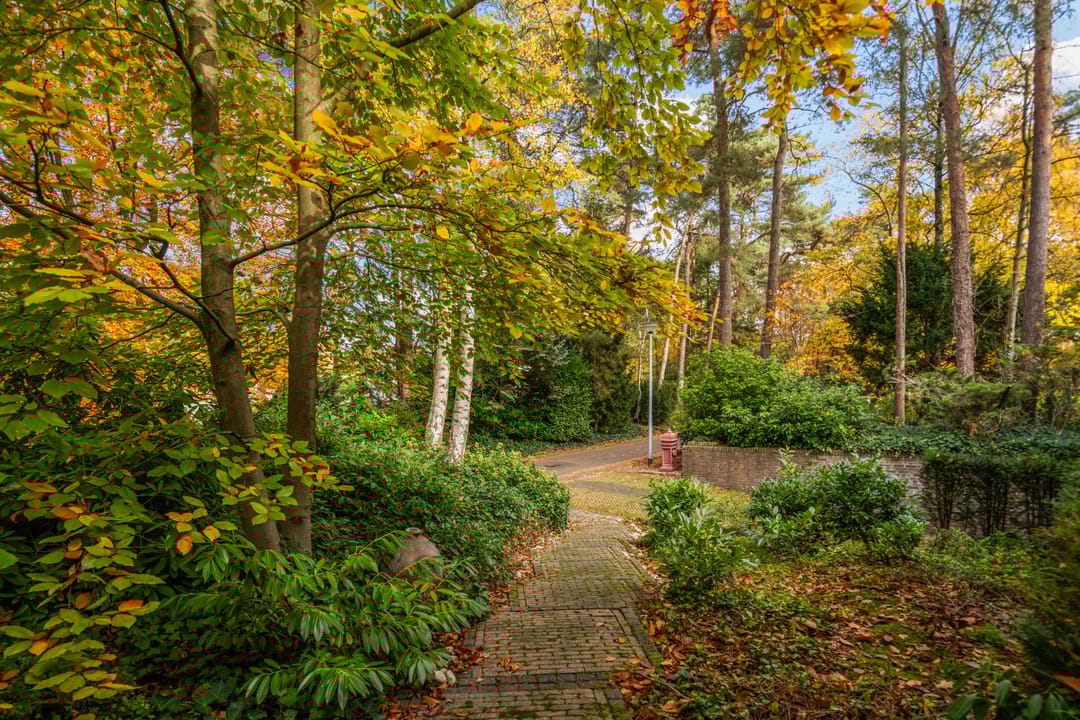 Foto 8 van Tooroplaan 19