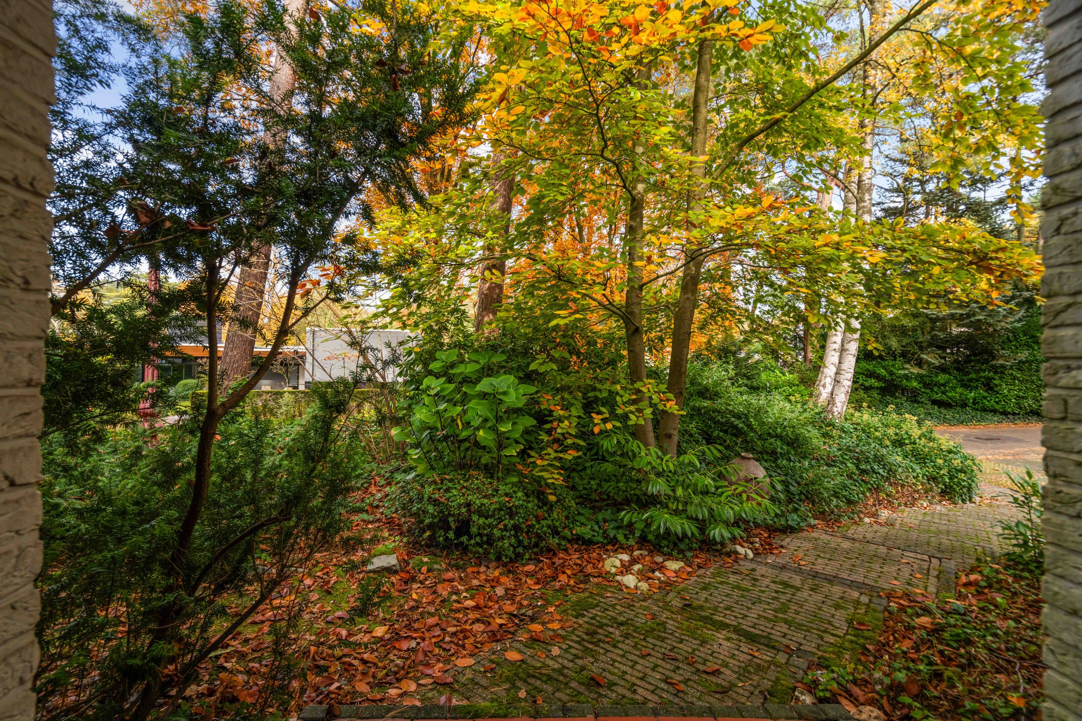 Foto 9 van Tooroplaan 19