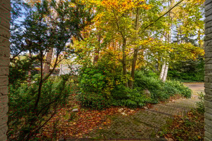 Photo 9 of Tooroplaan 19