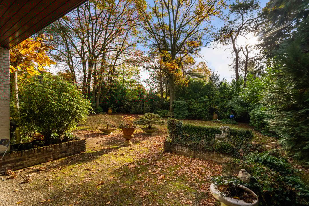 Foto 46 van Tooroplaan 19