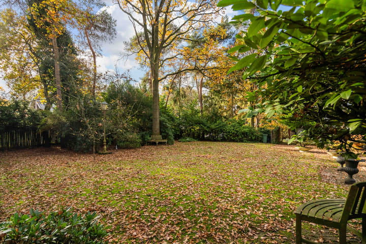 Photo 50 of Tooroplaan 19