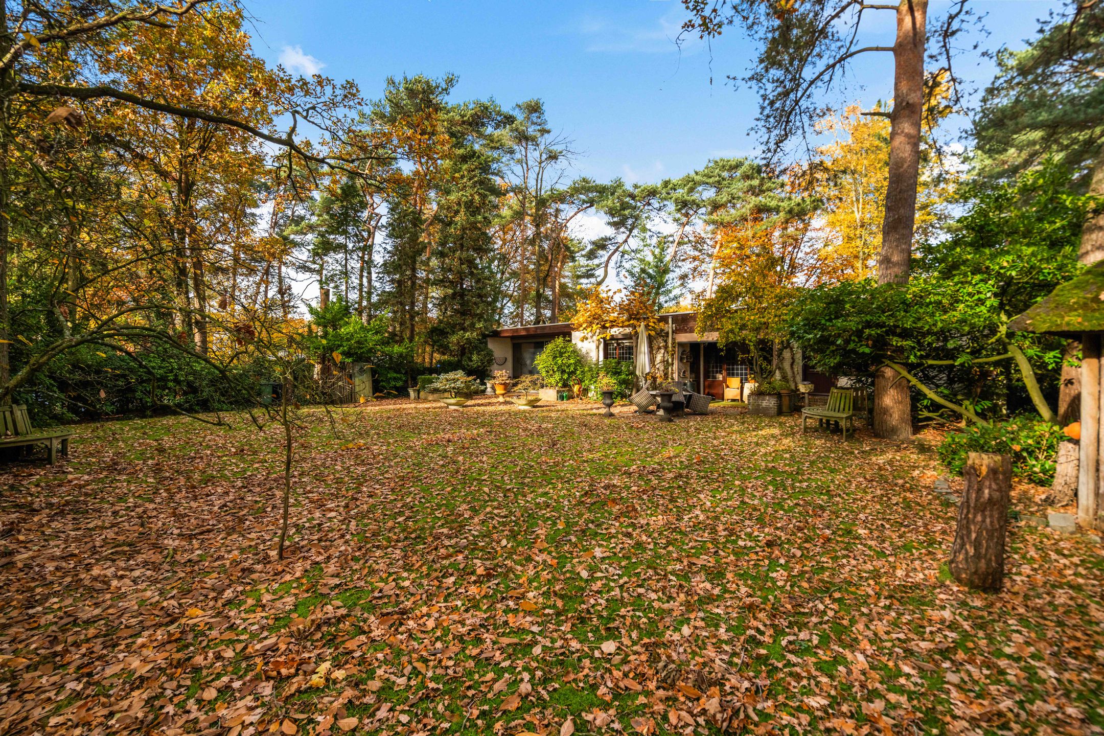 Foto 51 van Tooroplaan 19