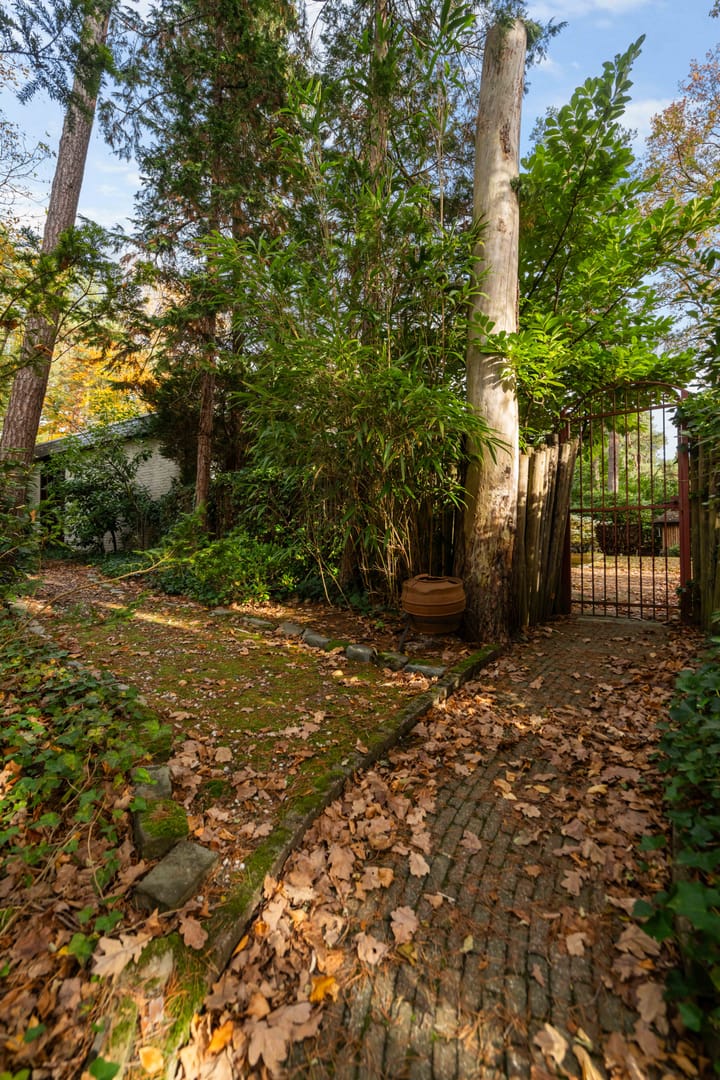 Photo 54 of Tooroplaan 19