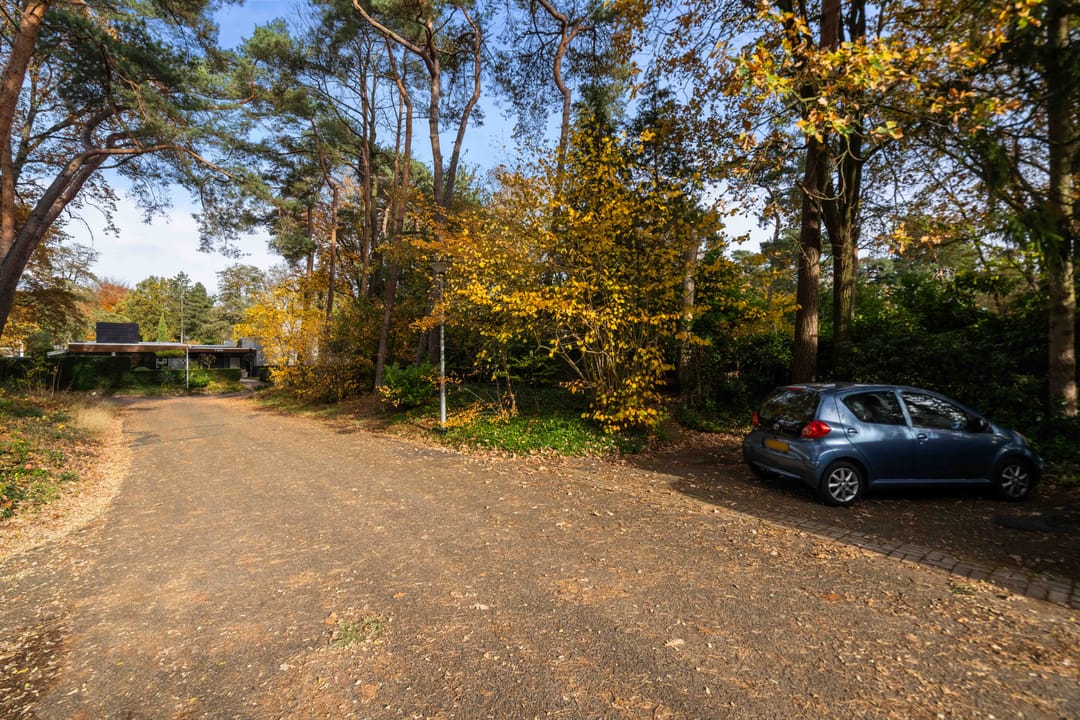 Foto 56 van Tooroplaan 19