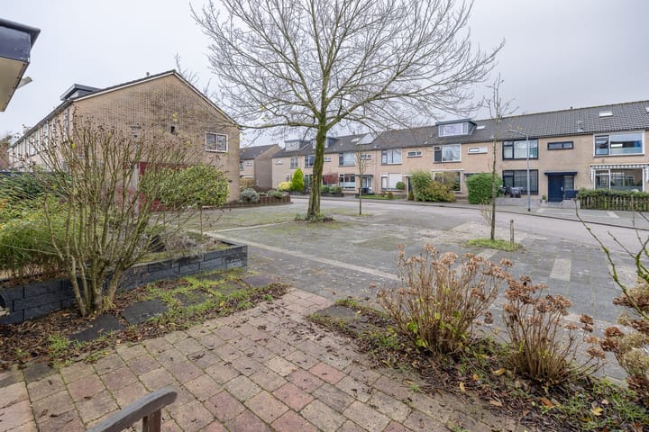 Foto 42 van Calvijnhof 11