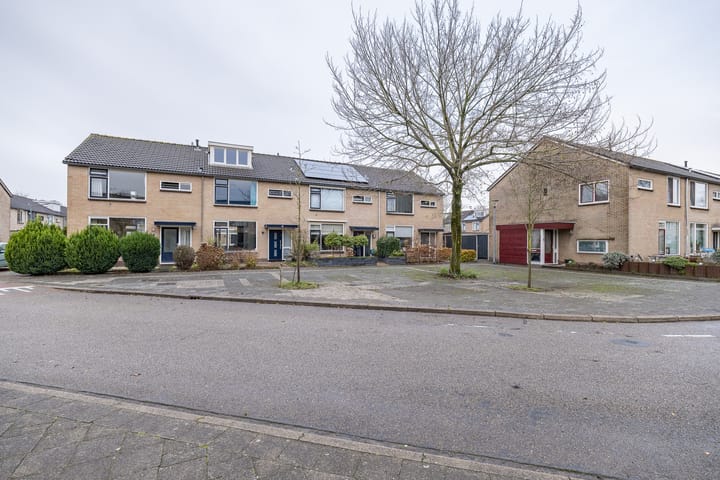 Foto 46 van Calvijnhof 11