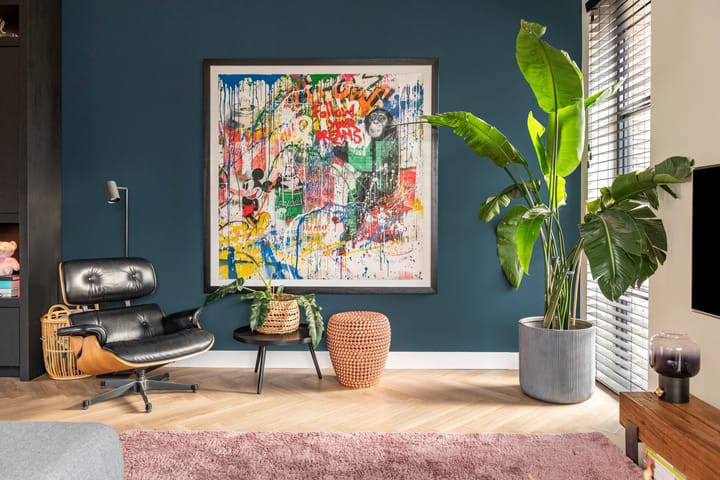 Photo 7 of Baak van Tholen 5