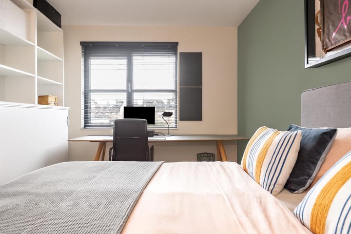 Photo 30 of Baak van Tholen 5