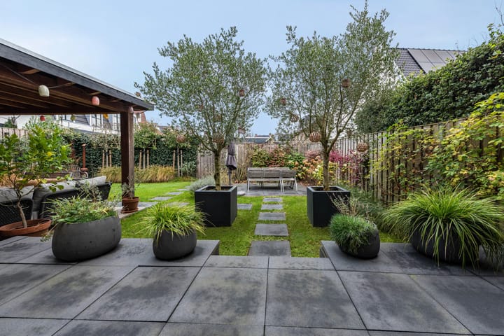 Photo 3 of Baak van Tholen 5