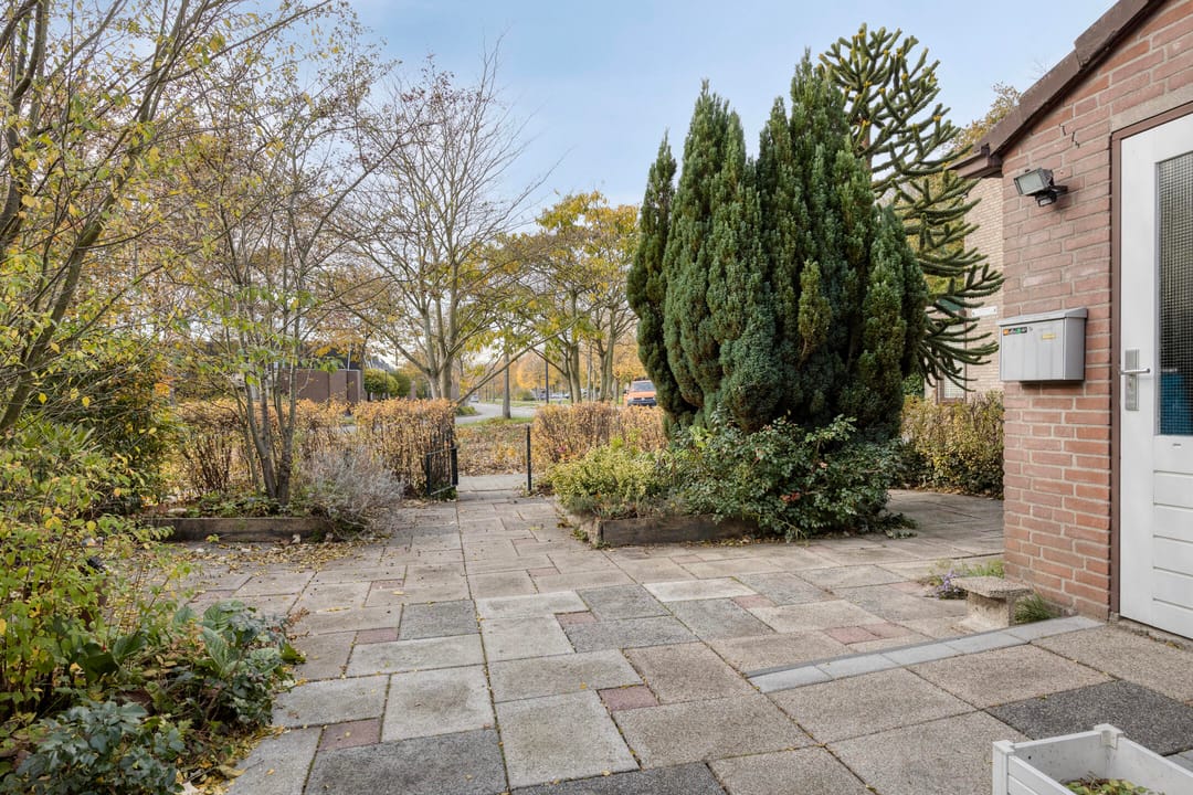 Foto 2 van Platanendreef 100