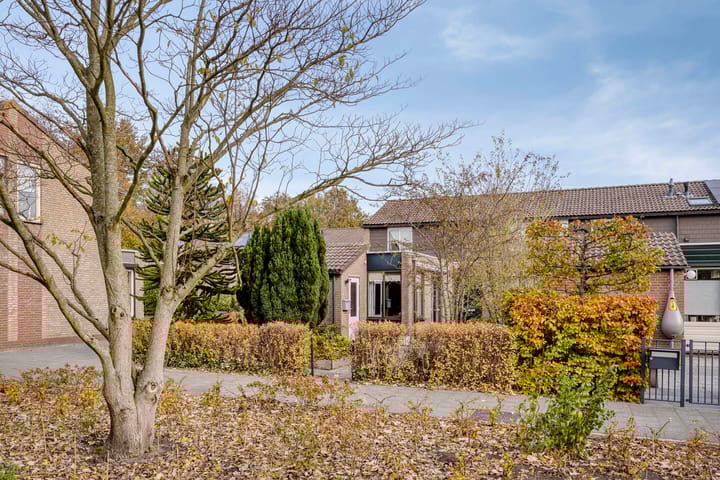 Foto 4 van Platanendreef 100