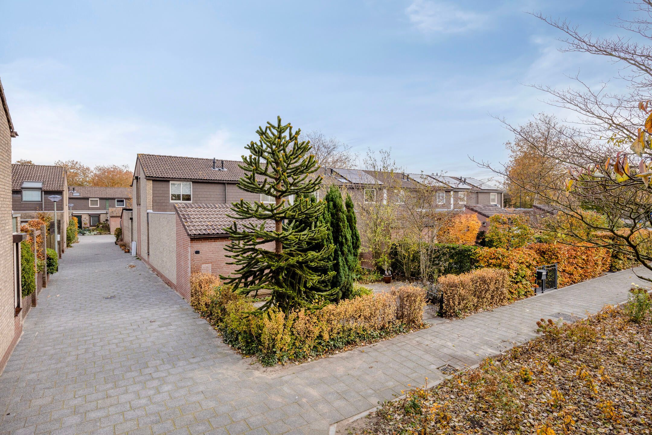 Foto 21 van Platanendreef 100