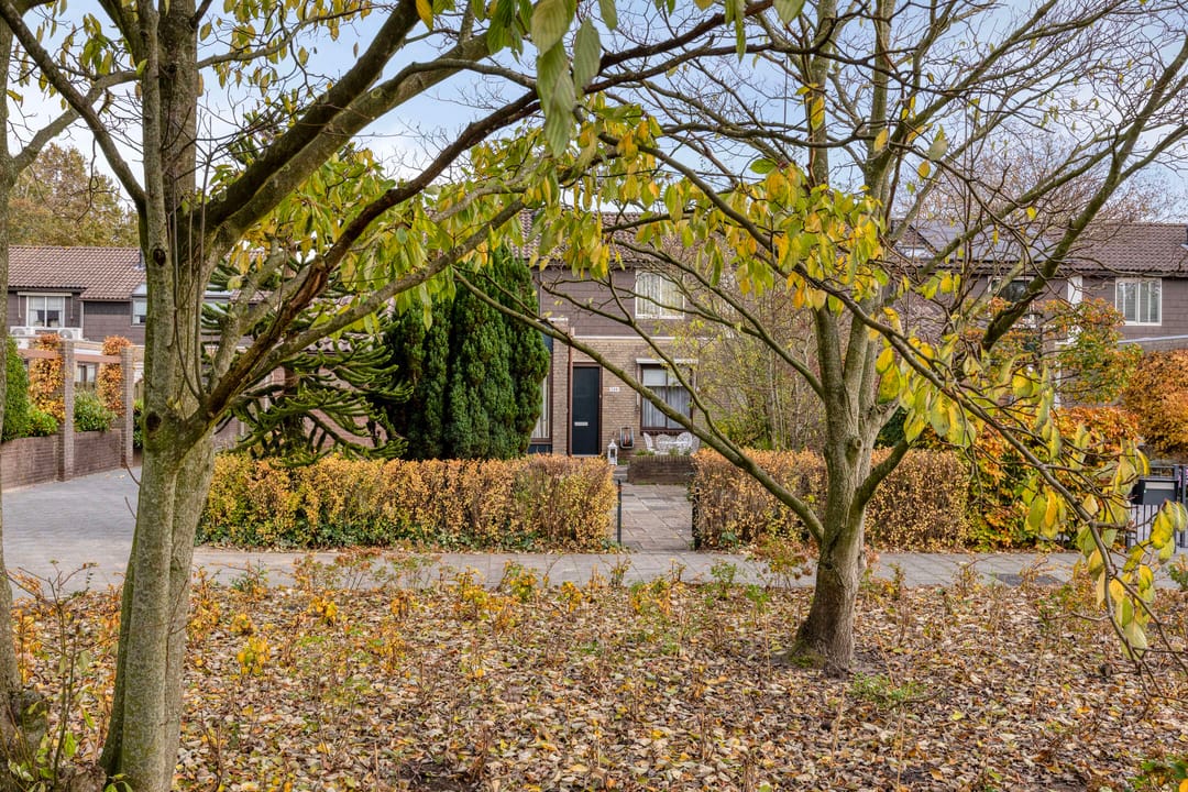 Foto 23 van Platanendreef 100