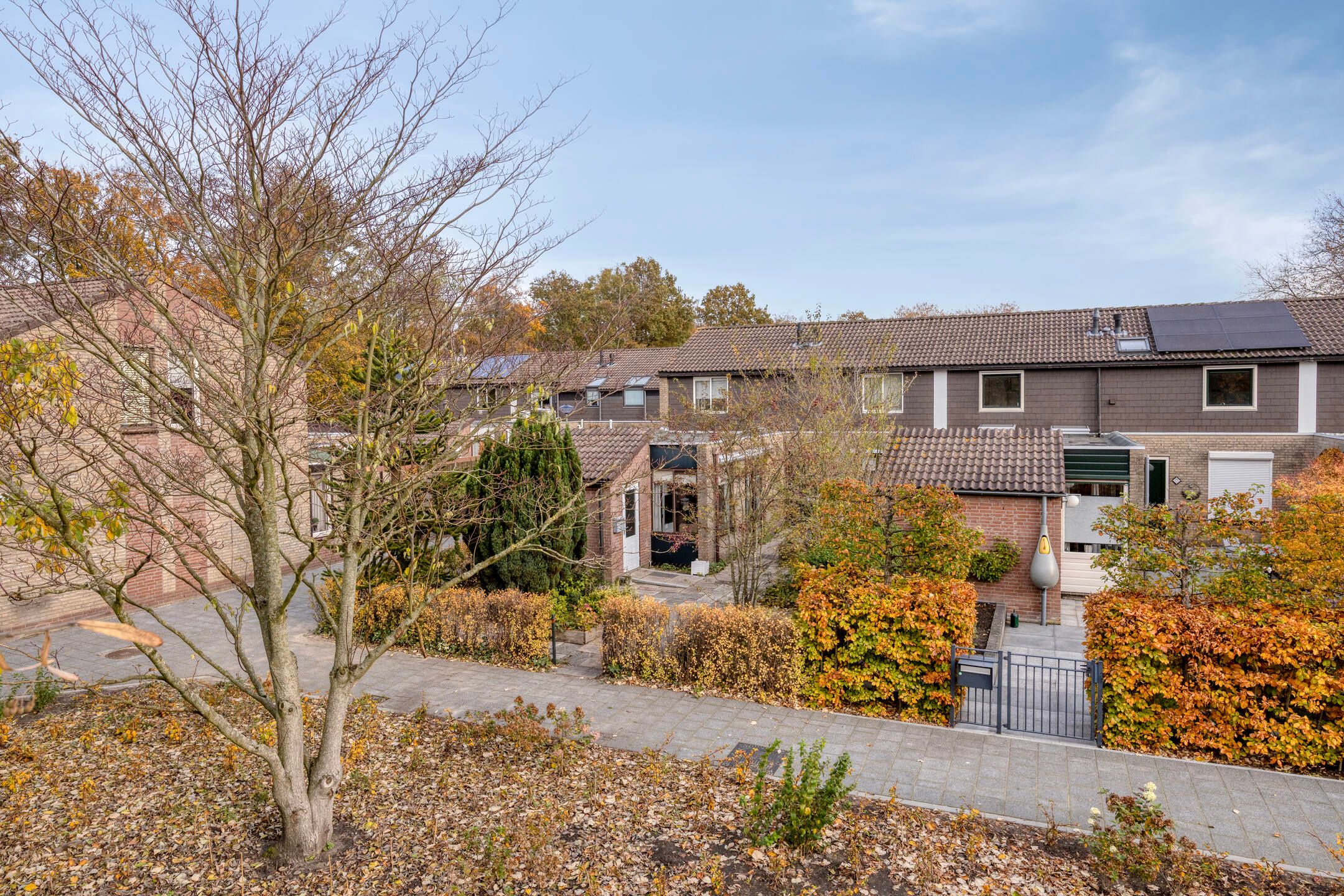 Foto 24 van Platanendreef 100