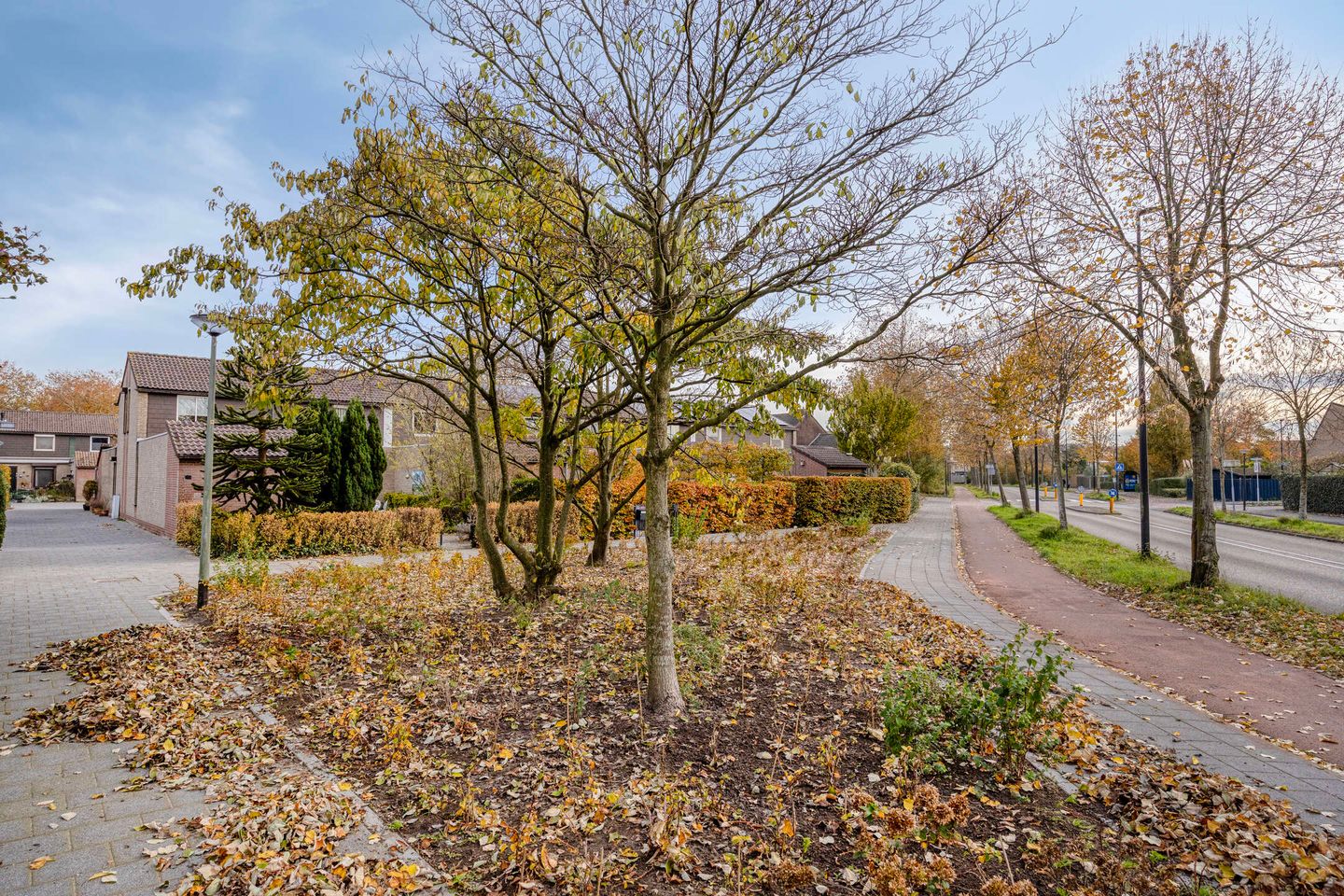 Foto 25 van Platanendreef 100