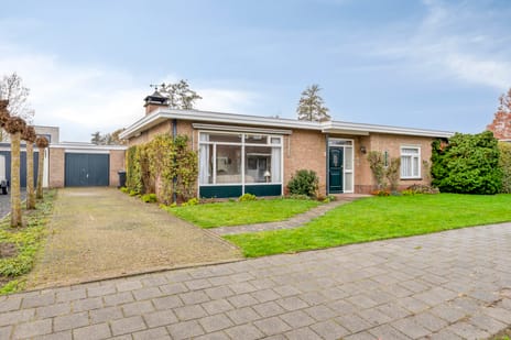 undefined main image