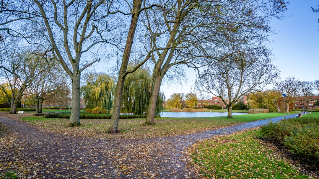 Photo 46 of Zaagmuldersweg 1-56