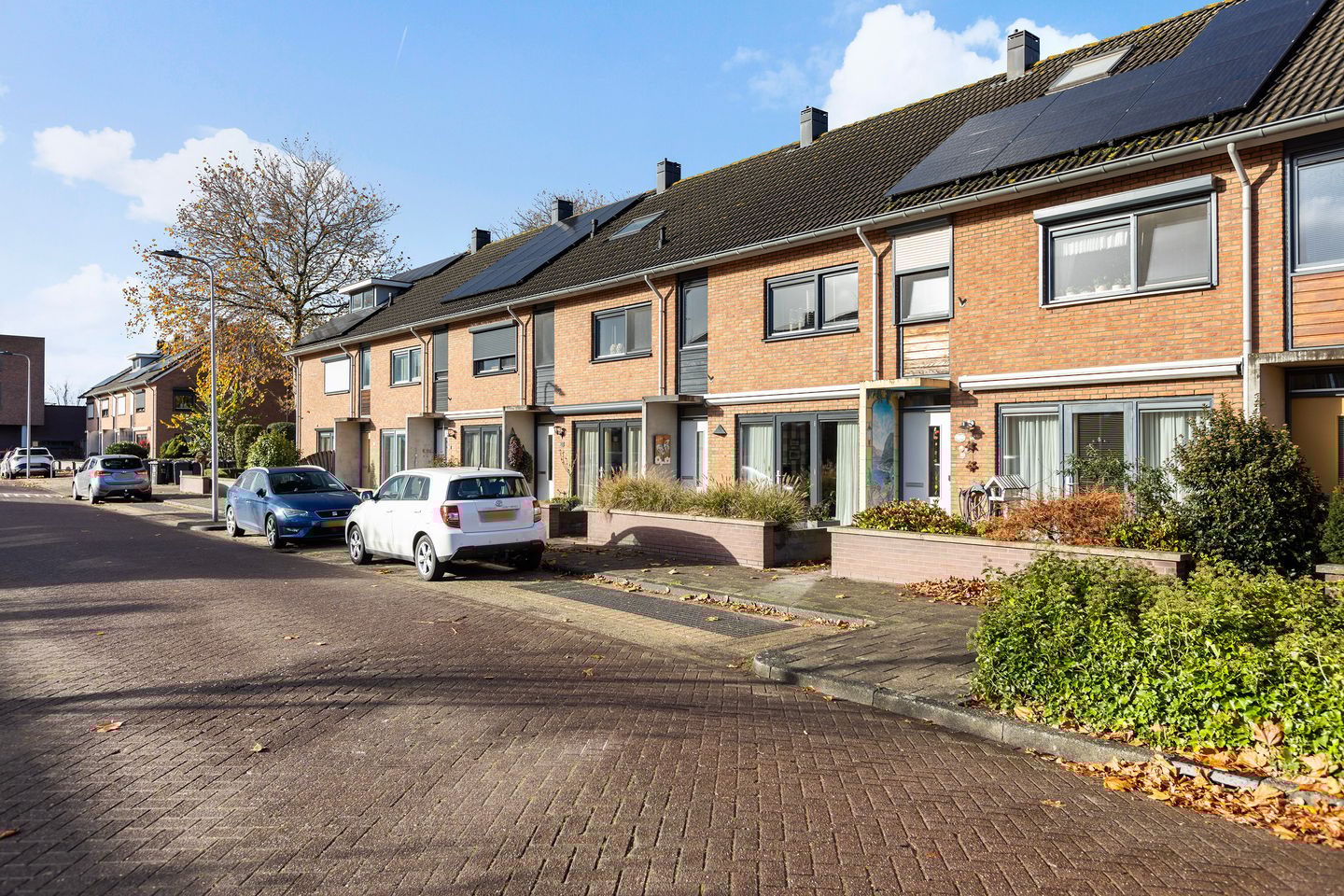 Foto 55 van Oranjewerf 60