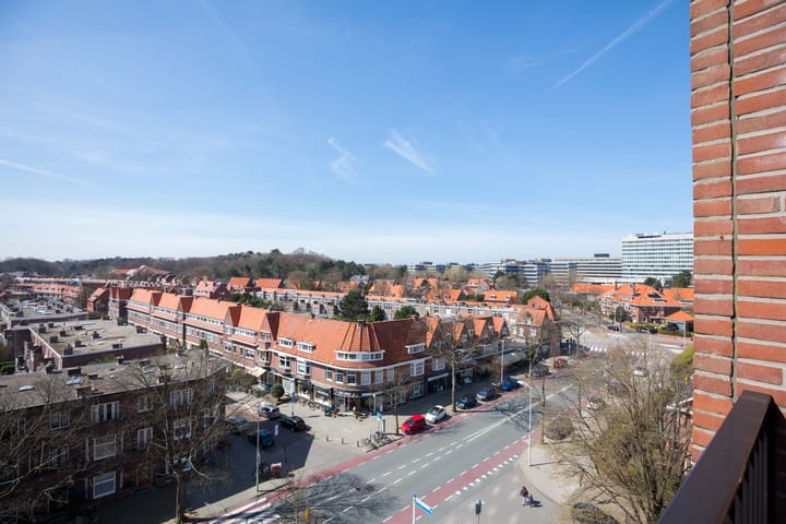 Photo 23 of Van Hogenhoucklaan 97-48