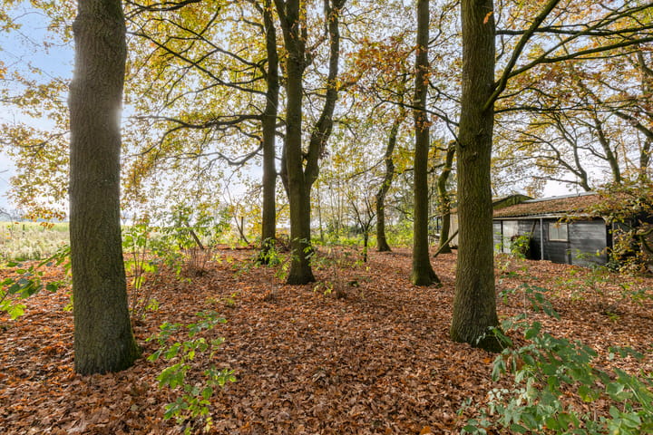 Photo 30 of Knikkerdorpweg 2