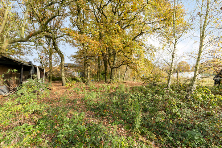 Photo 33 of Knikkerdorpweg 2