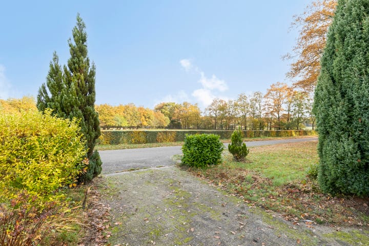 Photo 38 of Knikkerdorpweg 2