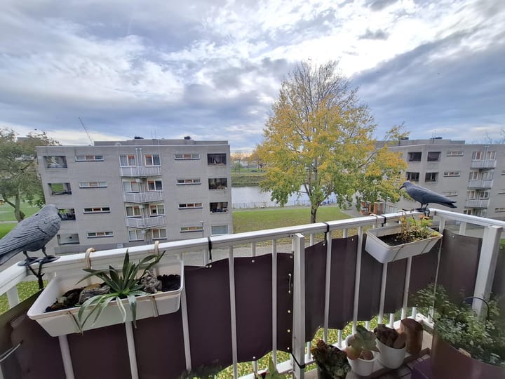 Photo 5 of Molen de Beerkade 48