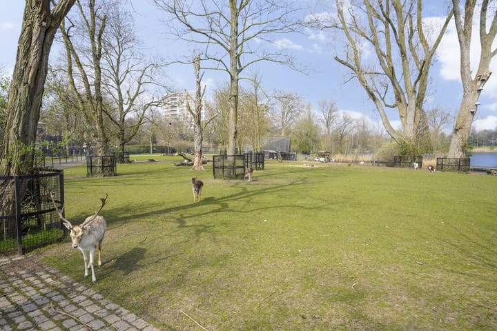 Photo 58 of Jan Schöfferlaan 12