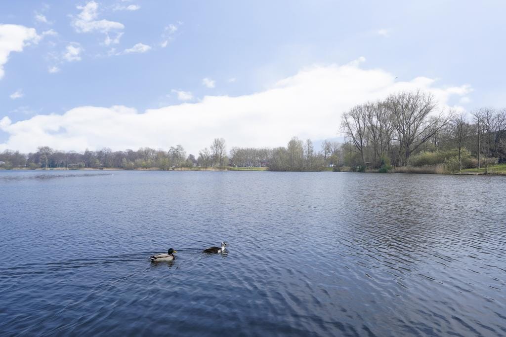 Photo 57 of Jan Schöfferlaan 12