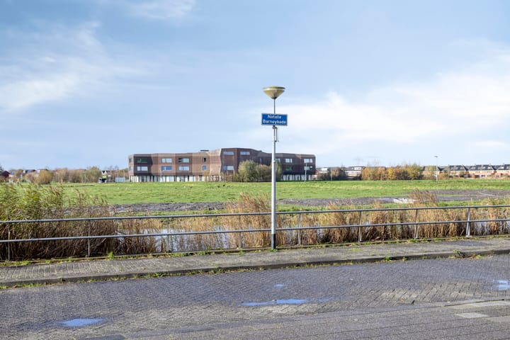 Photo 50 of Natalie Barneykade 32