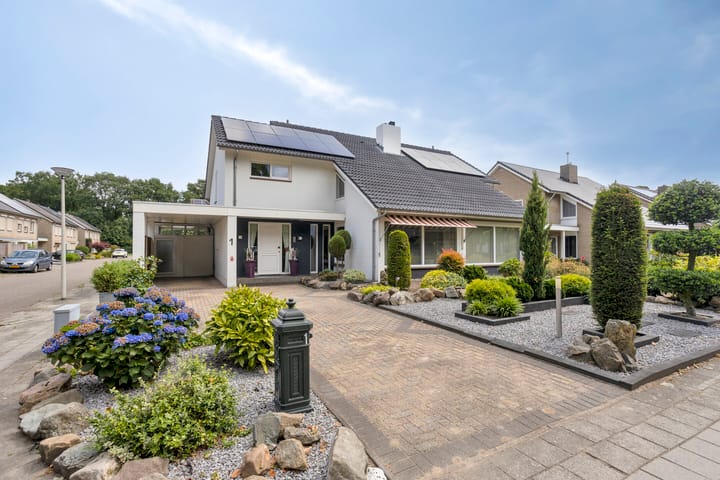 Foto 1 van Gastelepad 1