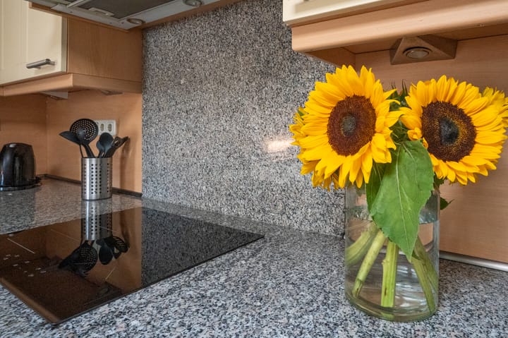 Foto 18 van Creel 22