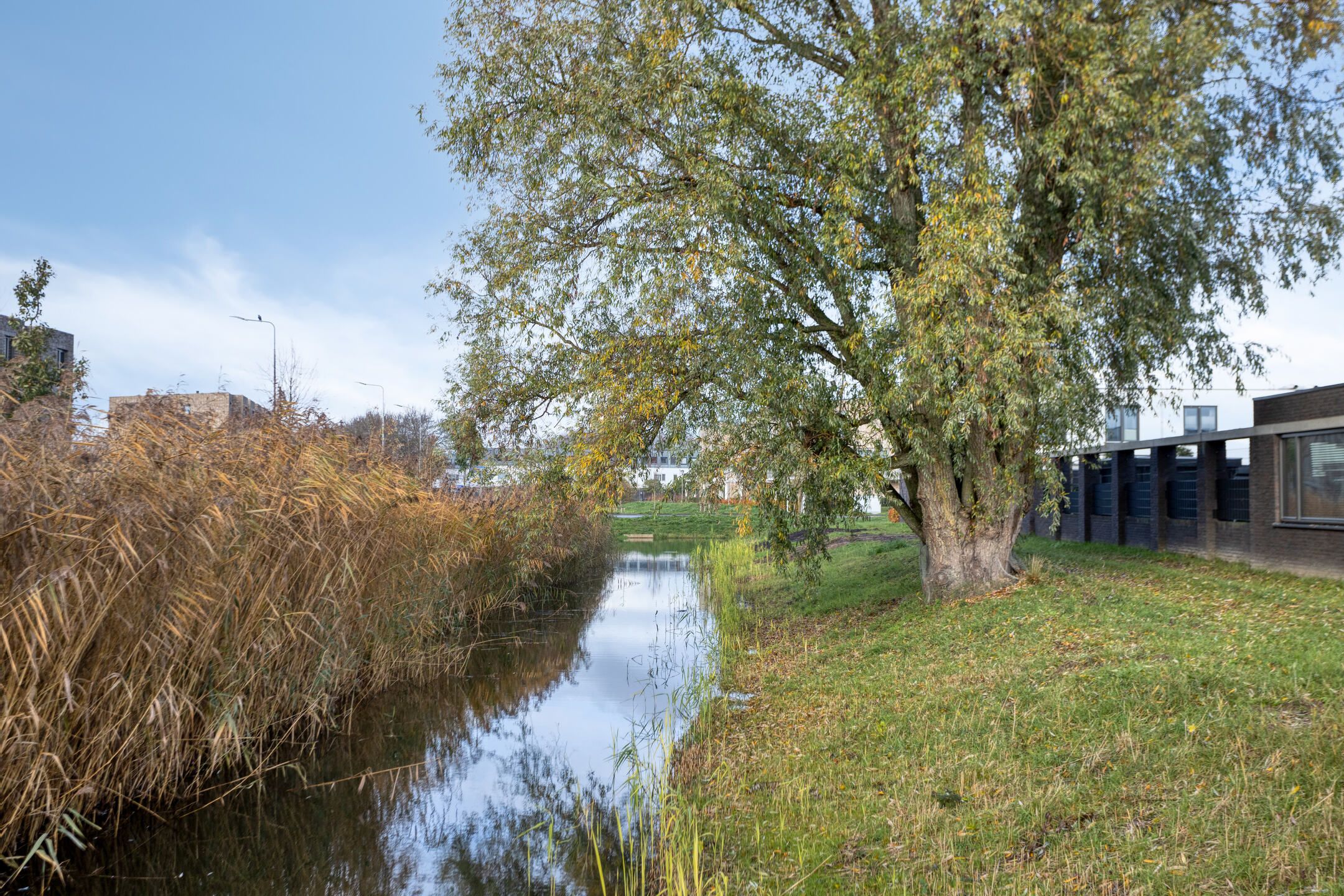 Foto 39 van Waterbies 9