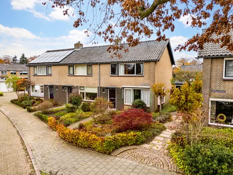 undefined main image