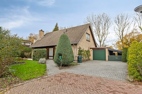 undefined main image