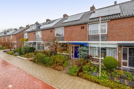 undefined main image